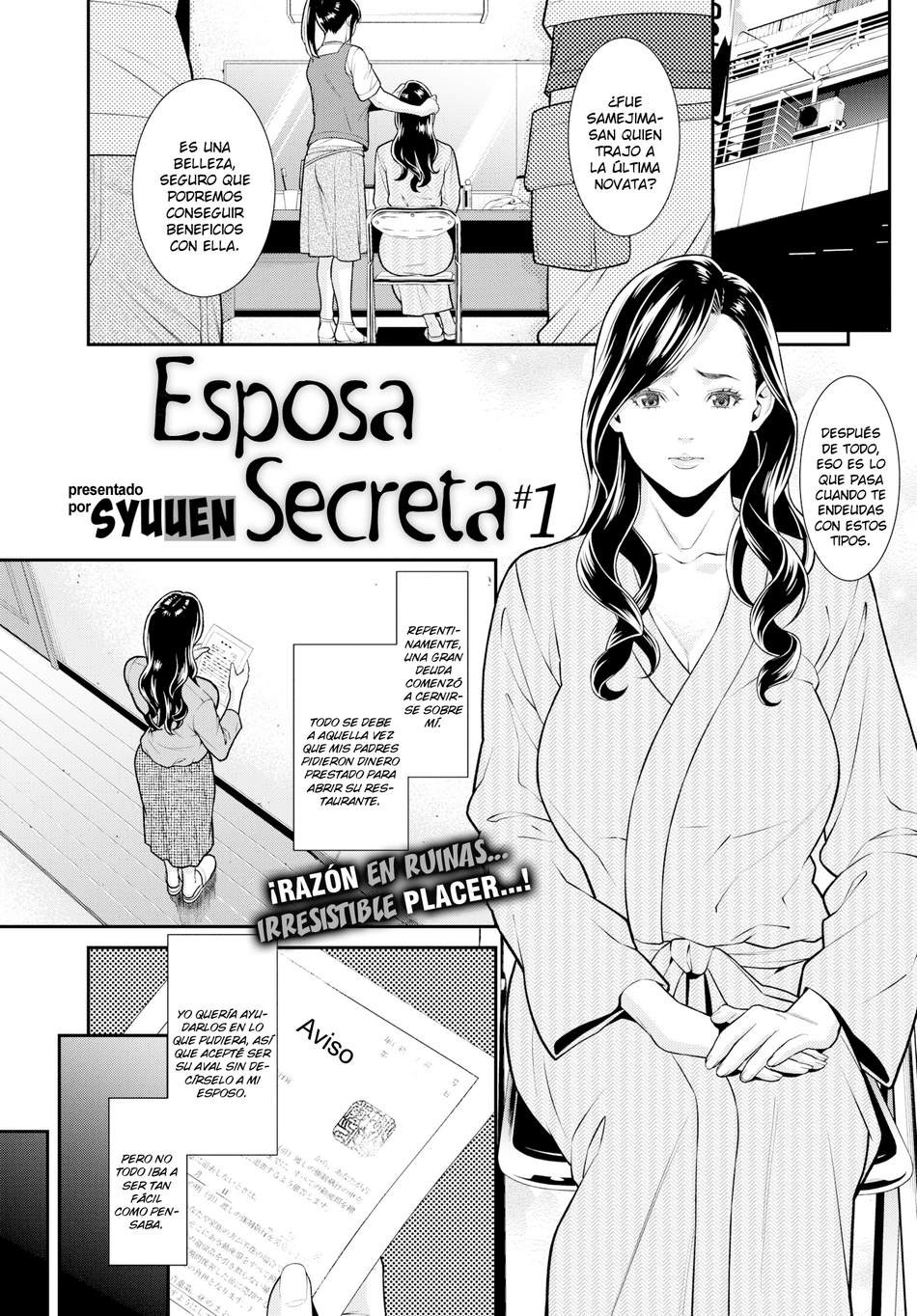 Secret Wife 1