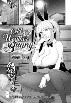 Cold Weather Bunny