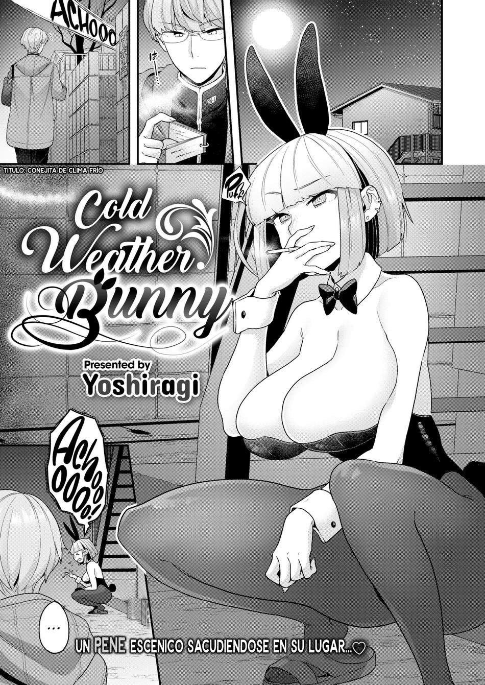 Cold Weather Bunny
