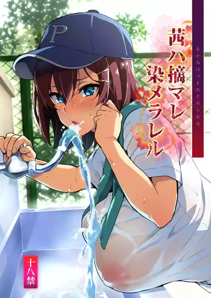 Akane wa Tsumare Somerareru