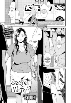 Secret Wife 3