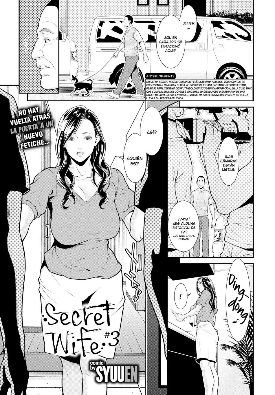 Secret Wife 3