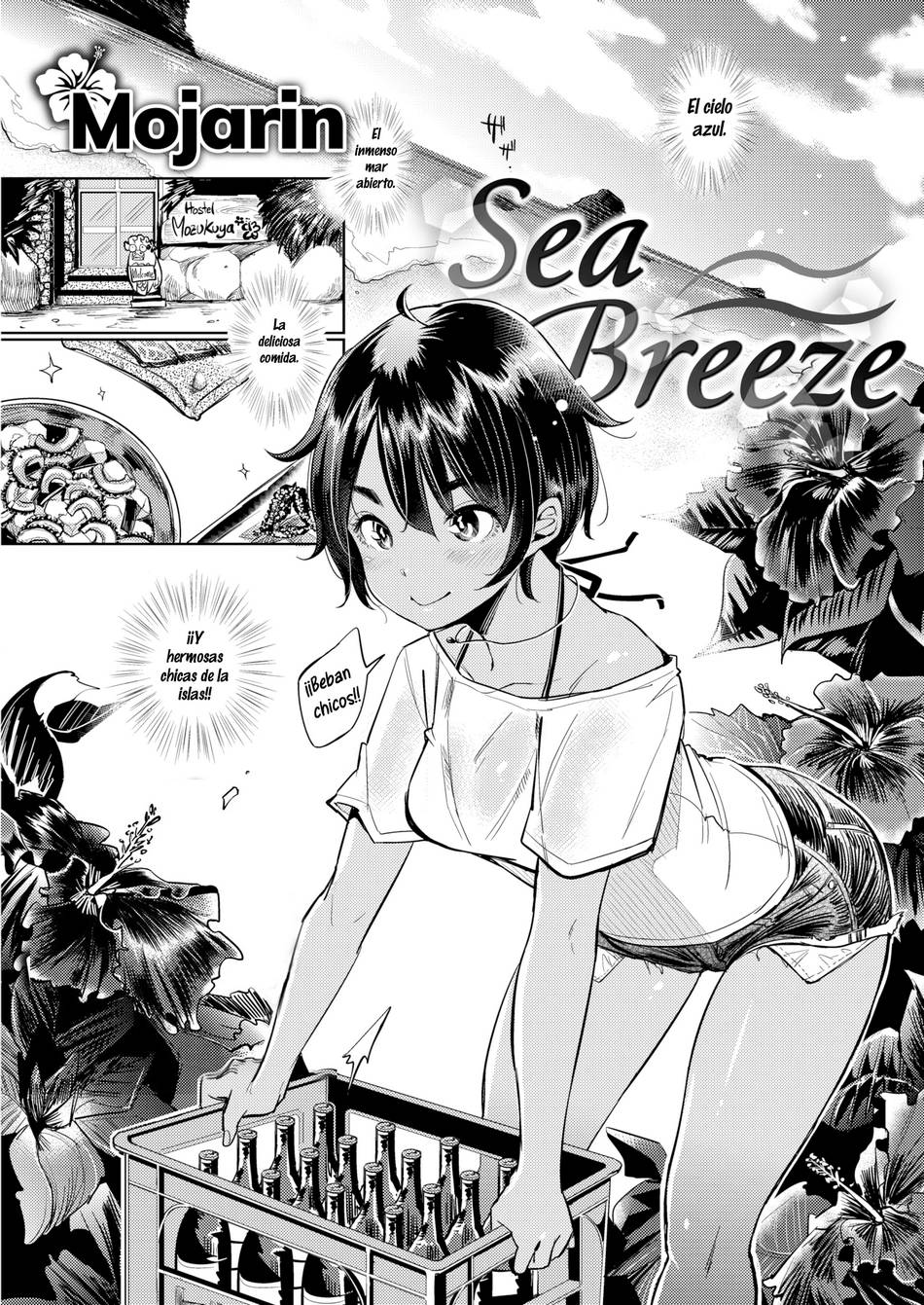 Sea Breeze