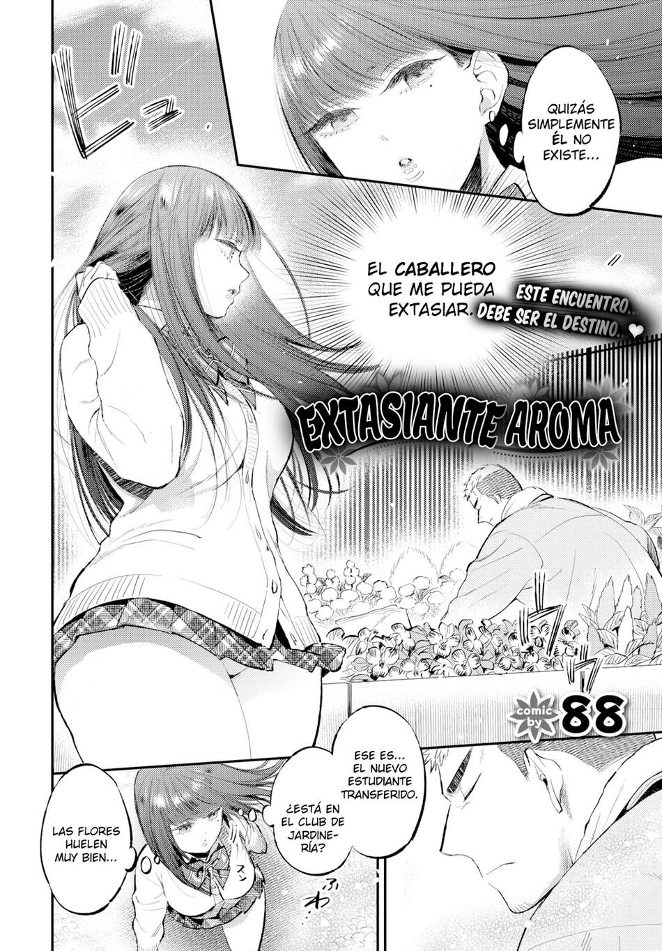 Extasiante Aroma