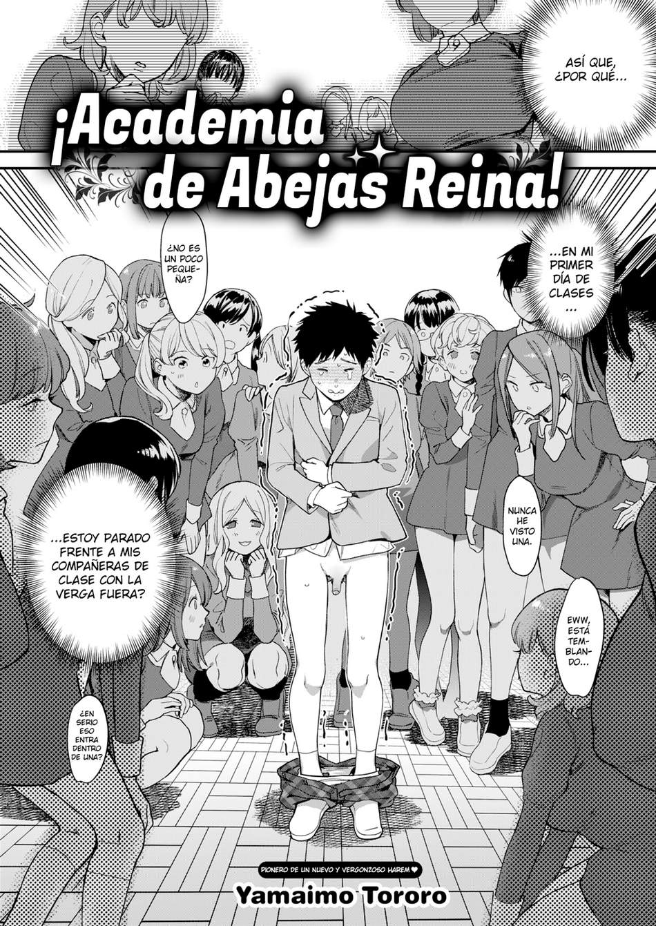 Academia de Abejas Reina #1