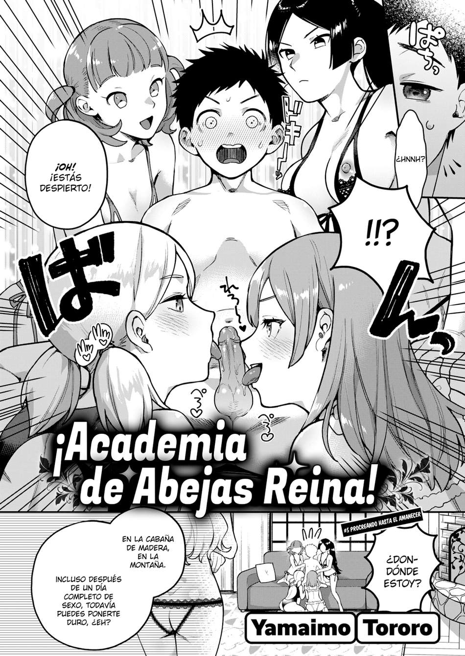 Academia de Abejas Reina #5