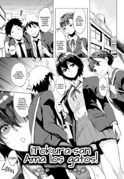 Tokura ama los gatos