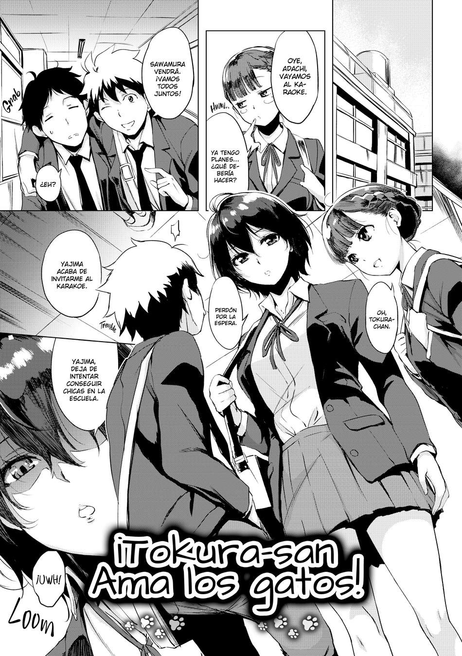 Tokura ama los gatos