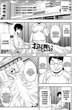 Omimai Shichau zo?
