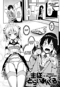 Shujuu Triangle