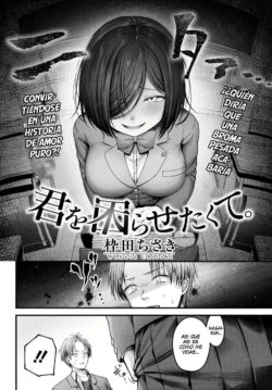 Kimi o Komarasetakute.