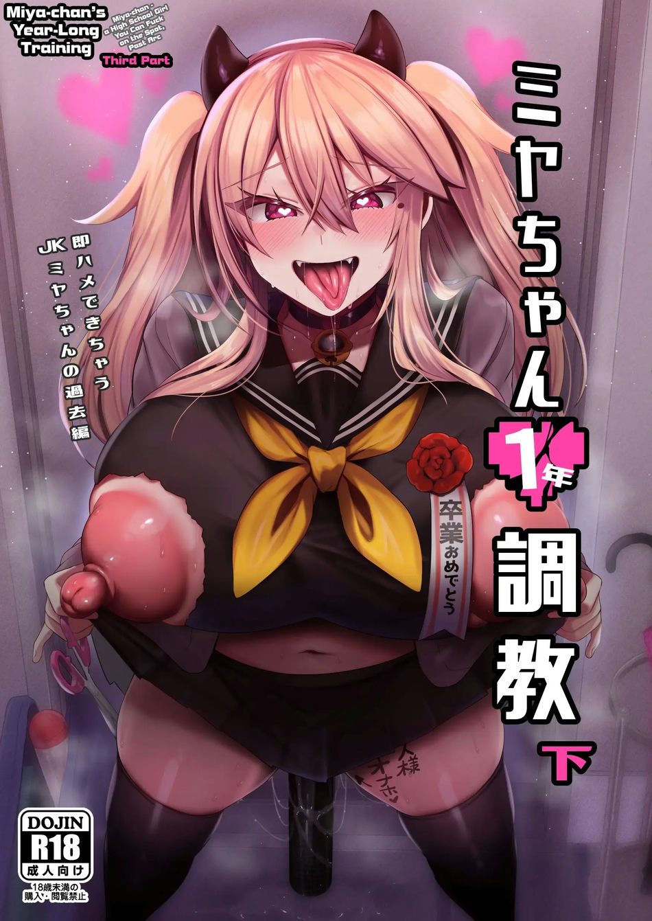 El Entrenamiento de un año de Miya-chan #3